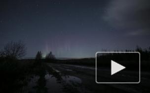 В Ленинградской области 23 ноября сняли северное сияние