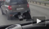 Видео жуткого ДТП с пострадавшими на Приморском шоссе появилось в сети