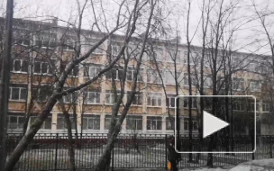 Циклонический вихрь принес снегопад в Петербург 