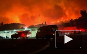 В Израиле бушует огненный вихрь