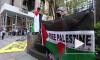 В Нью-Йорке прошли акции в поддержку Палестины