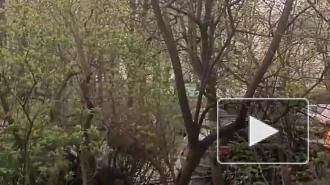 Жители Васильевского острова пожаловались на сильный гул, как от "реактивного самолета"