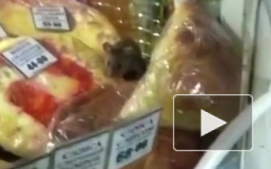 Видео из Благовещенска: В ларьке с выпечкой около детской больницы обедают мыши