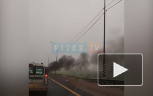 Видео: на Мурманском шоссе загорелся автомобиль