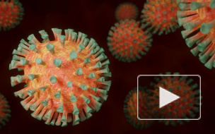 В РФ число зараженных коронавирусом выросло на 6361 человека