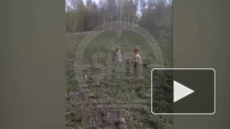 Пропавших сестер 2 и 4 лет в Кемеровской области нашли живыми на трассе