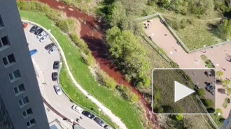 Видео: в Петербурге обнаружили кровавую реку