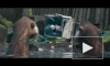 Вышел новый трейлер мультфильма "Дикий робот"