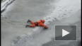 Женщина-волонтер из Петербурга спасла вмерзшую в лед утк...