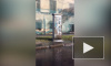 Видео: на Прилукской улице из электрического щитка бежит вода