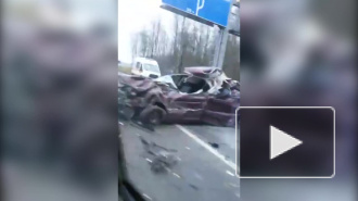 Появилось видео ужасающей аварии на Зеленогорском шоссе