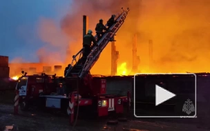 В Смоленске потушили крупный пожар на заводе