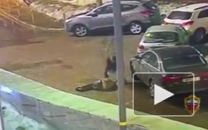 Москве задержан неадекват, убивший молотком случайного прохожего, приняв того за ведьму