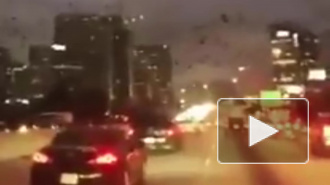 Жуткое видео из США: стая черных птиц атаковала автомобилистов в Хьюстоне