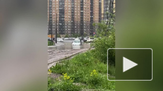 Иномарка утонула в гигантской луже на Парнасе