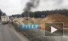 Что произошло в Петербурге 20 апреля: видео и фото