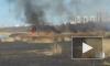 Видео: в Приморском районе горит камыш на фоне "Лахта Центра" 