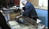 Андрей Климнюк "Бодайбо". 2011г.
