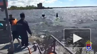 В Финском заливе спасли пятерых сапсерфингистов  