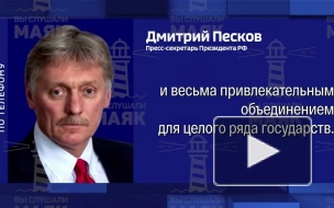 Песков рассказал, почему на Западе боятся БРИКС