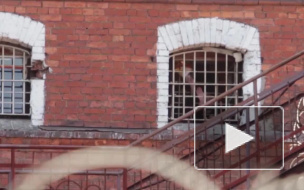 Около "Крестов" образовался огромный гейзер