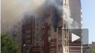 В жилом доме на проспекте Просвещения горит квартира. Очевидцы опубликовали фото пожара