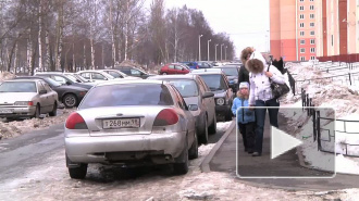 В Володарском чумы не боятся