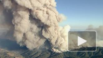 Крупный лесной пожар начался на территории заповедника в Калифорнии