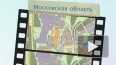 В Подмосковье найдены тела двух девушек с проломленными ...