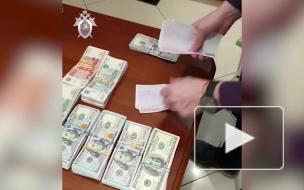 В Петербурге сотрудницу таможни подозревают в ущербе РФ на 35,8 млн рублей