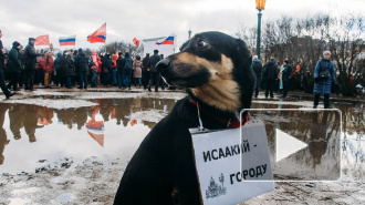 Видео: митинг в защиту Исаакия собрал 3000 человек и собаку