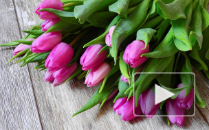 Прикольные поздравления в коротких стихах на 8 Марта