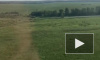 Киркоров опубликовал видео жесткой посадки в аэропорту Домодедово