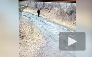 В Новосибирске полицейские задержали подозреваемого в нападении на почтальона