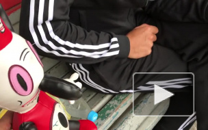 Рок-группа "Мумий Тролль" выпустила новые клип и песню с куклой Тоби