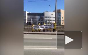 Люди в желтом вышли с плакатом к Боткинской больнице