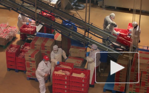 Промышленное производство в России за 11 месяцев выросло на 2,4%