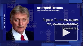 Песков: темпы прироста голосов в пользу Санду вызывают много вопросов