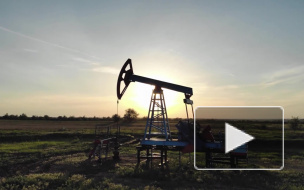 В Минэнерго рассчитали срок выживаемости топливной отрасли при нефти в 25 долларов за баррель