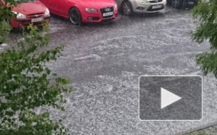 МЧС предупреждает о ливнях и грозах 12 августа в Петербурге. Город может снова затопить