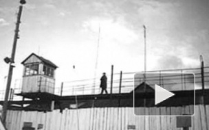 В Воронеже рецидивист заколол себя зубной щеткой и умер в больнице