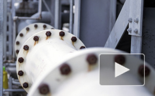  В Кронштадте работник пытался оговорить своего начальника и "записал" его в террористы