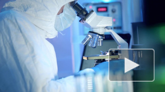 Россия заняла второе место в мире по заражению хантавирусом