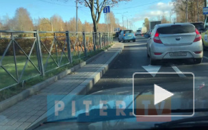 Видео: у Лисьего Носа столкнулись Lexus и BMW