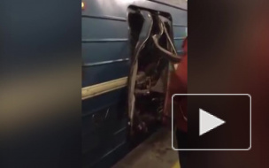 СК назвал группировку, устроившую взрыв петербургском метро