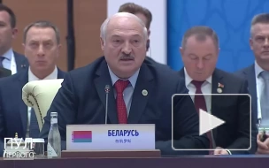 ШОС превращается в глобальную организацию, заявил Лукашенко