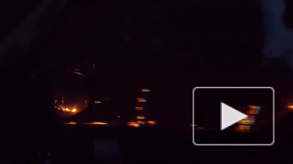 Австралия выделит $35 млн на восстановление природы после пожаров