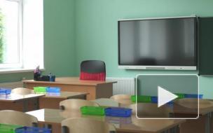 На "дистанционку" в декабре могут уйти почти 700 школ Петербурга