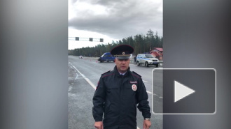 Под Кингисеппом опрокинулся микроавтобус: есть жертвы