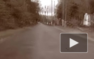 Следи за собой, будь осторожен: Пьянка на могиле Цоя обернулась трагедией